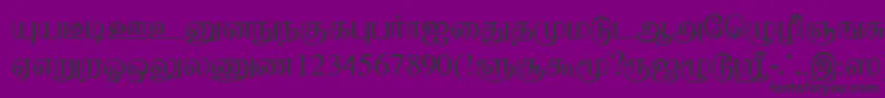 BaaminiPlain Font – Black Fonts on Purple Background