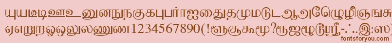 Czcionka BaaminiPlain – brązowe czcionki na różowym tle