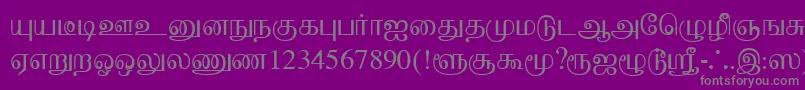 フォントBaaminiPlain – 紫の背景に灰色の文字