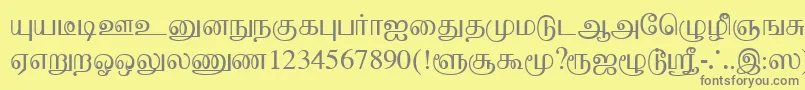 Saiba mais sobre a fonte BaaminiPlain Fonte BaaminiPlain – fontes cinzas em um fundo amarelo