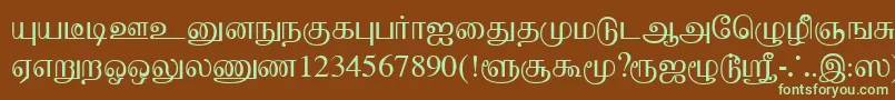 Шрифт BaaminiPlain – зелёные шрифты на коричневом фоне