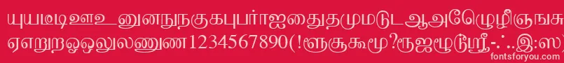 BaaminiPlain Font – Pink Fonts on Red Background