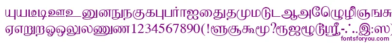 BaaminiPlain Font – Purple Fonts on White Background