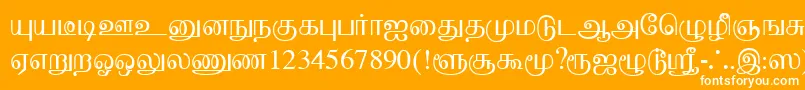 BaaminiPlain Font – White Fonts on Orange Background