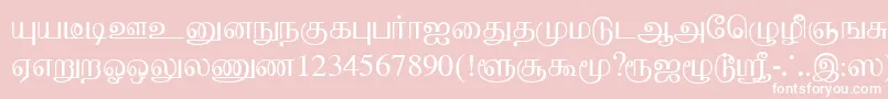 Czcionka BaaminiPlain – białe czcionki na różowym tle