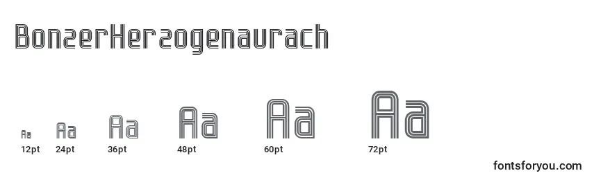 Размеры шрифта BonzerHerzogenaurach