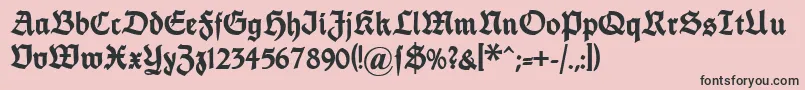 Dsfettethannhaeuser Font – Black Fonts on Pink Background
