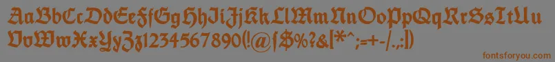 Dsfettethannhaeuser Font – Brown Fonts on Gray Background