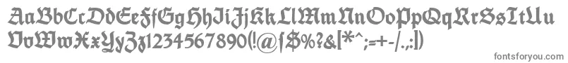 Dsfettethannhaeuser Font – Gray Fonts on White Background