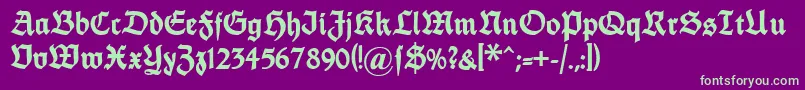 Dsfettethannhaeuser Font – Green Fonts on Purple Background