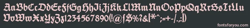 Dsfettethannhaeuser Font – Pink Fonts on Black Background