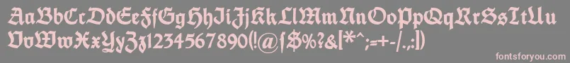 Шрифт Dsfettethannhaeuser – розовые шрифты на сером фоне