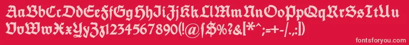 Dsfettethannhaeuser-Schriftart – Rosa Schriften auf rotem Hintergrund