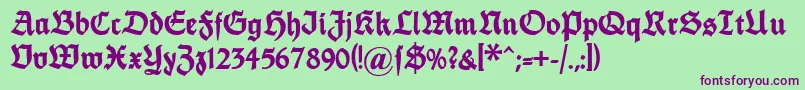 Dsfettethannhaeuser-Schriftart – Violette Schriften auf grünem Hintergrund