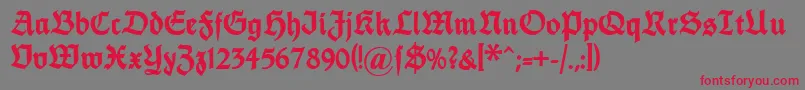 Dsfettethannhaeuser Font – Red Fonts on Gray Background