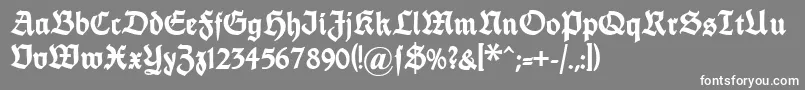 フォントDsfettethannhaeuser – 灰色の背景に白い文字