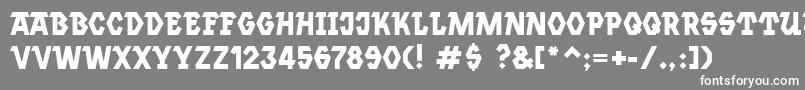 フォントJannsen – 灰色の背景に白い文字