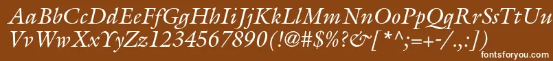 フォントGalliardstdItalic – 茶色の背景に白い文字