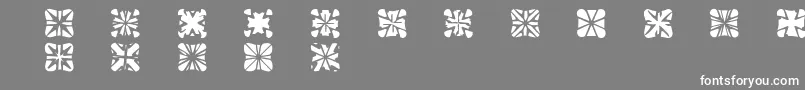 Zone23Crosses Font – White Fonts on Gray Background