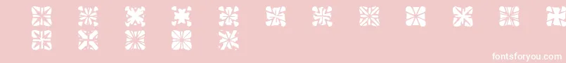 Zone23Crosses Font – White Fonts on Pink Background