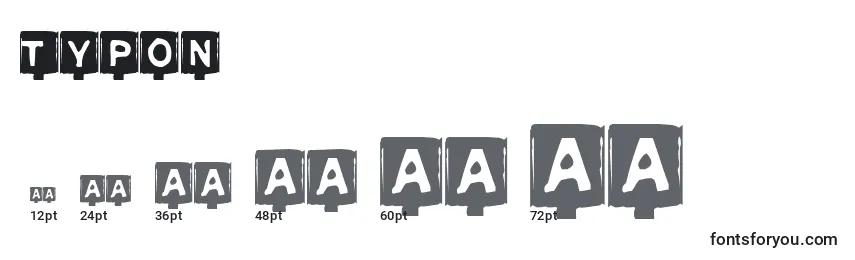 Размеры шрифта Typon