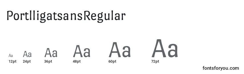 Размеры шрифта PortlligatsansRegular