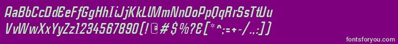 CasestudynooneLtBoldItalic Font – Green Fonts on Purple Background