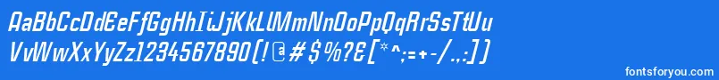 CasestudynooneLtBoldItalic Font – White Fonts on Blue Background