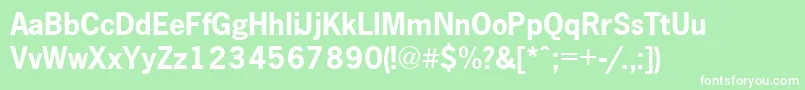 NewsgothicA.ZPsBold Font – White Fonts on Green Background
