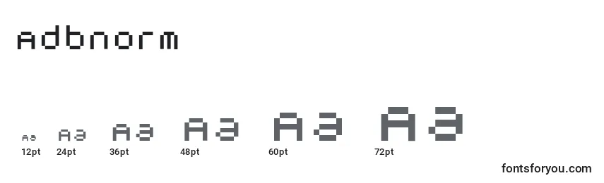 Adbnorm Font Sizes