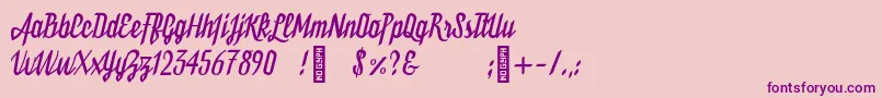 Bukarest Font – Purple Fonts on Pink Background