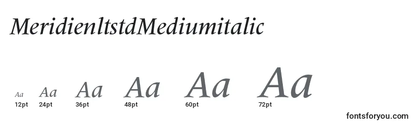Größen der Schriftart MeridienltstdMediumitalic
