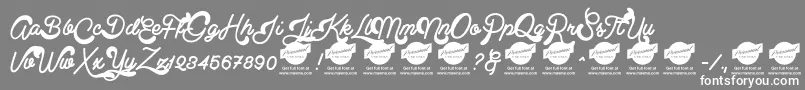 ClearlinePersonalUseOnly Font – White Fonts on Gray Background
