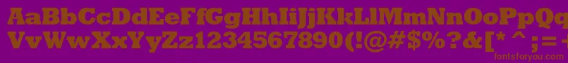 Rodeoxbc-Schriftart – Braune Schriften auf violettem Hintergrund