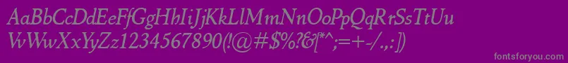 フォントMarcoPoloItalic – 紫の背景に灰色の文字