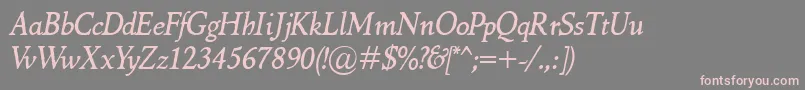 MarcoPoloItalic Font – Pink Fonts on Gray Background