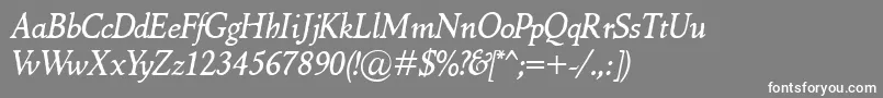 フォントMarcoPoloItalic – 灰色の背景に白い文字