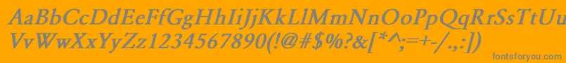 GaramondNormalBoldItalic Font – Gray Fonts on Orange Background