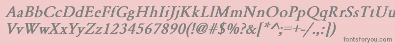 GaramondNormalBoldItalic Font – Gray Fonts on Pink Background