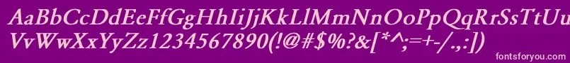 GaramondNormalBoldItalic Font – Pink Fonts on Purple Background