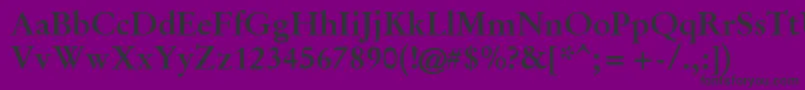 GaramondHalbfett-Schriftart – Schwarze Schriften auf violettem Hintergrund