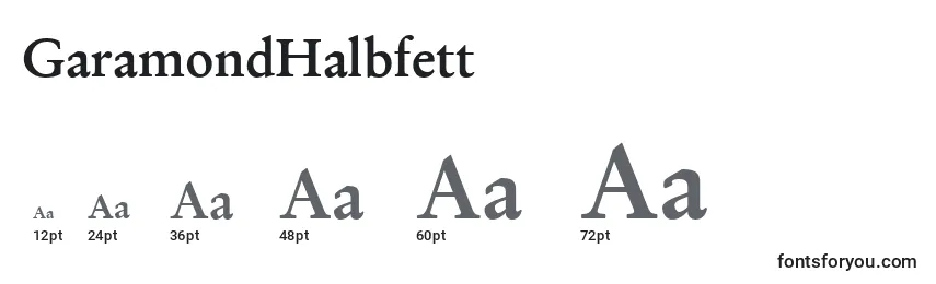 GaramondHalbfett Font Sizes