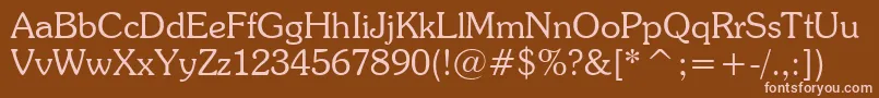 SouvenirLightBt Font – Pink Fonts on Brown Background