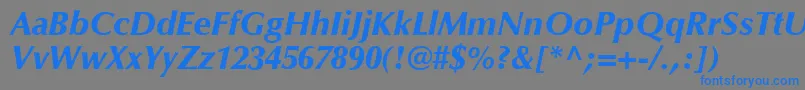 OptimaLtBlackItalic Font – Blue Fonts on Gray Background