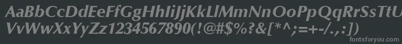 OptimaLtBlackItalic Font – Gray Fonts on Black Background