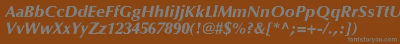OptimaLtBlackItalic Font – Gray Fonts on Brown Background