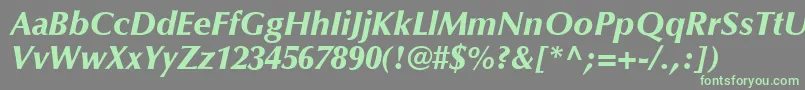 OptimaLtBlackItalic Font – Green Fonts on Gray Background