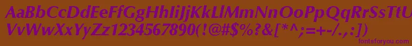 OptimaLtBlackItalic Font – Purple Fonts on Brown Background