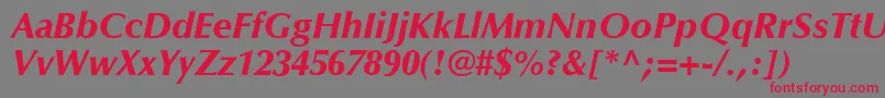 OptimaLtBlackItalic Font – Red Fonts on Gray Background