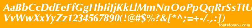 フォントOptimaLtBlackItalic – オレンジの背景に白い文字